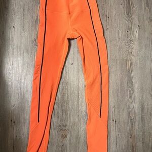 Zyia robbed light n tights